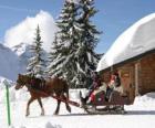 Noel için bir at tarafından çekilen atlı kızak bir aile